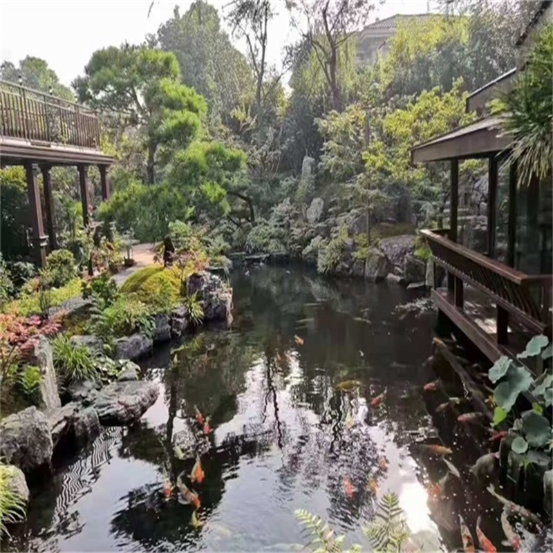 武城假山植物小鱼池